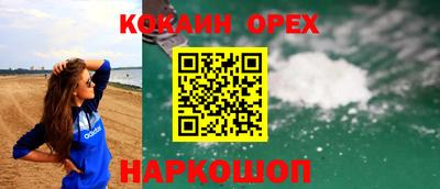 гидра Будённовск