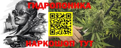 PSILOCYBIN Бугуруслан