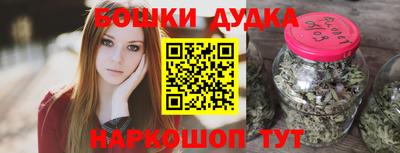 гидра Будённовск