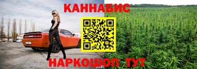 гидра Будённовск