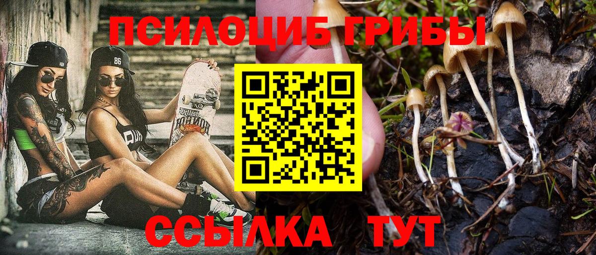 где купить наркотик  Вход с VPN  Галлюциногенные грибы GOLDEN TEACHER  Миллерово  Галлюциногенные грибы ЛСД 